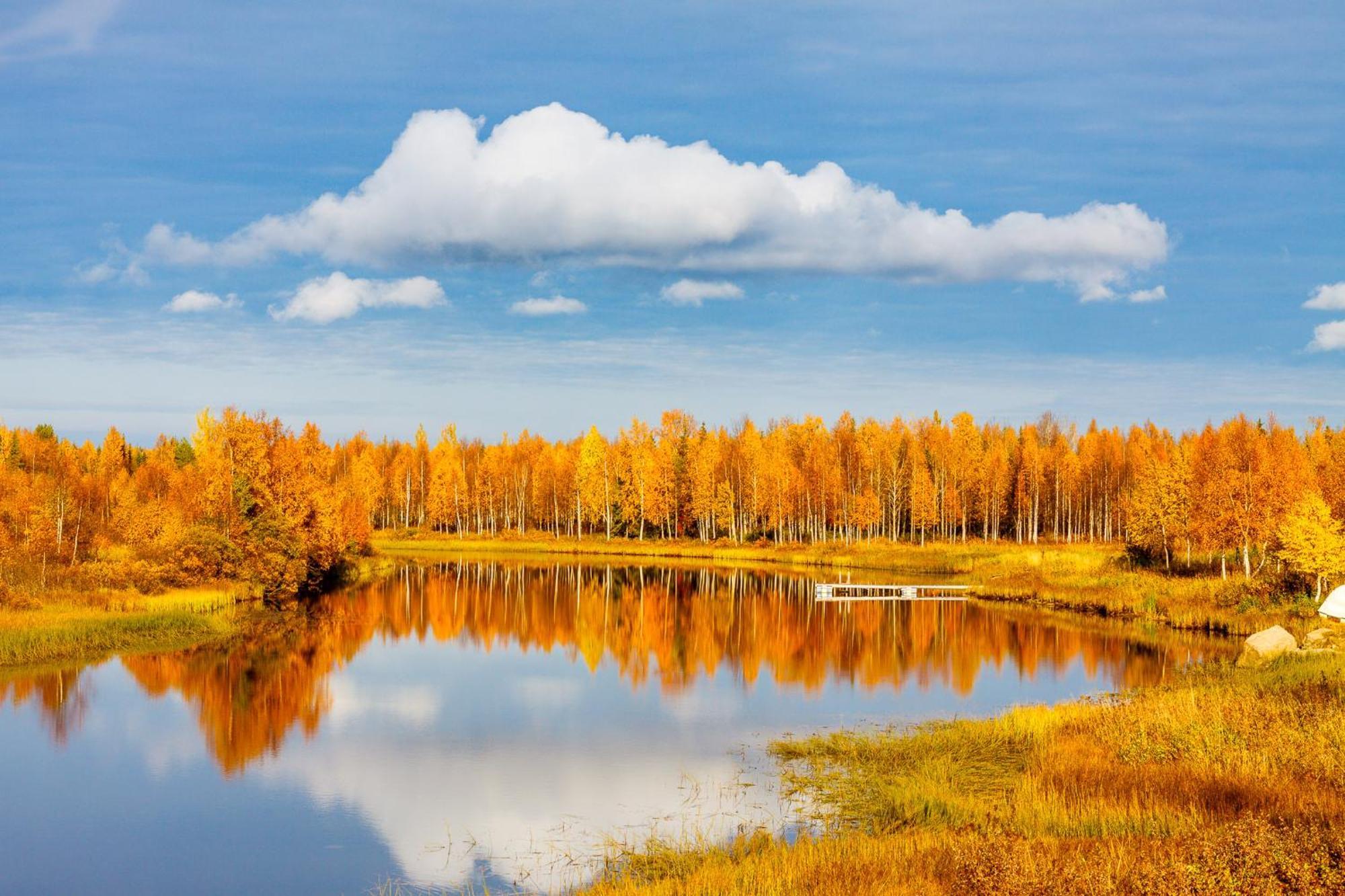 Hotel Mestarin Kievari Кемиярви Экстерьер фото